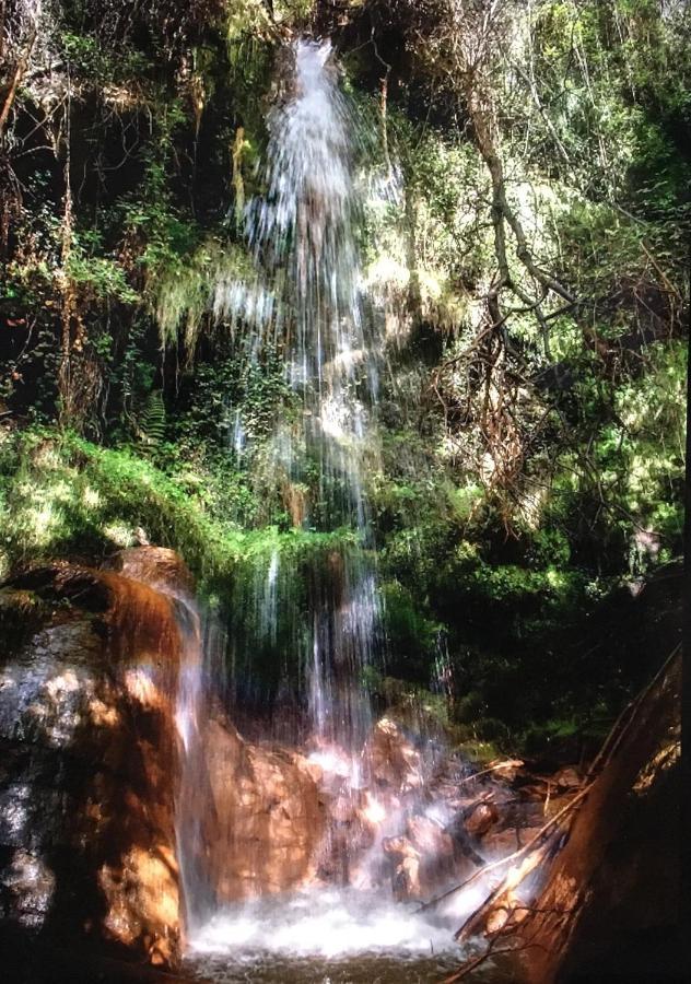 Apartamento El Refugio De Mecina Mecina Fondales Exteriér fotografie