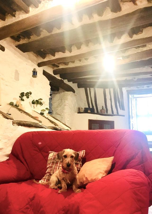 Apartamento El Refugio De Mecina Mecina Fondales Exteriér fotografie