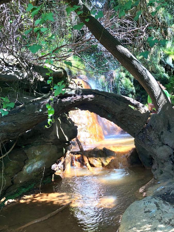 Apartamento El Refugio De Mecina Mecina Fondales Exteriér fotografie