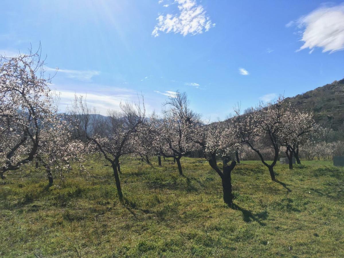 Apartamento El Refugio De Mecina Mecina Fondales Exteriér fotografie