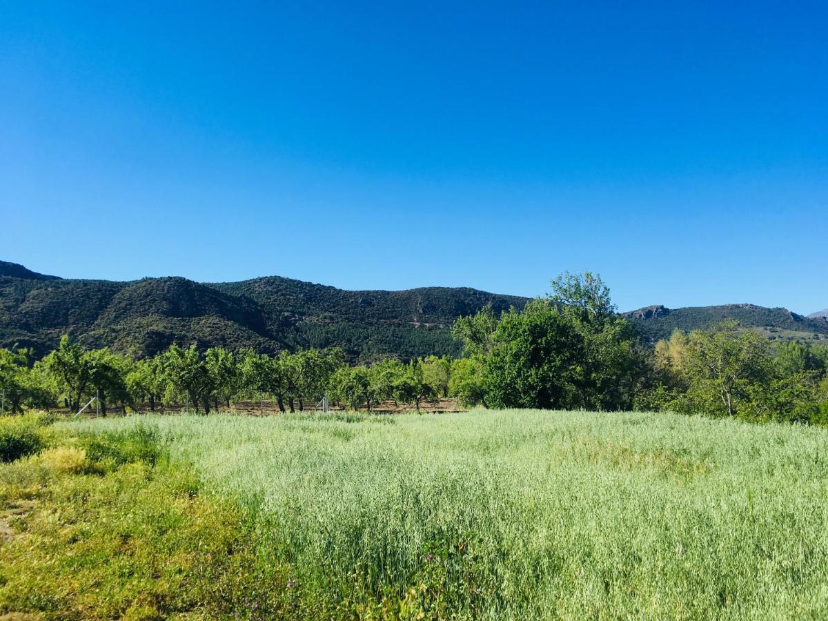 Apartamento El Refugio De Mecina Mecina Fondales Exteriér fotografie