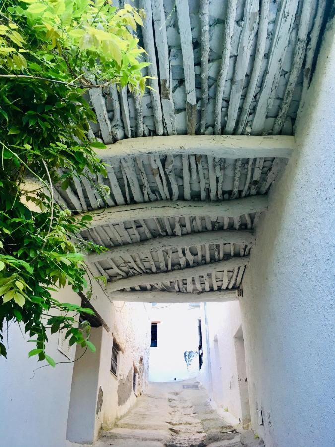 Apartamento El Refugio De Mecina Mecina Fondales Exteriér fotografie