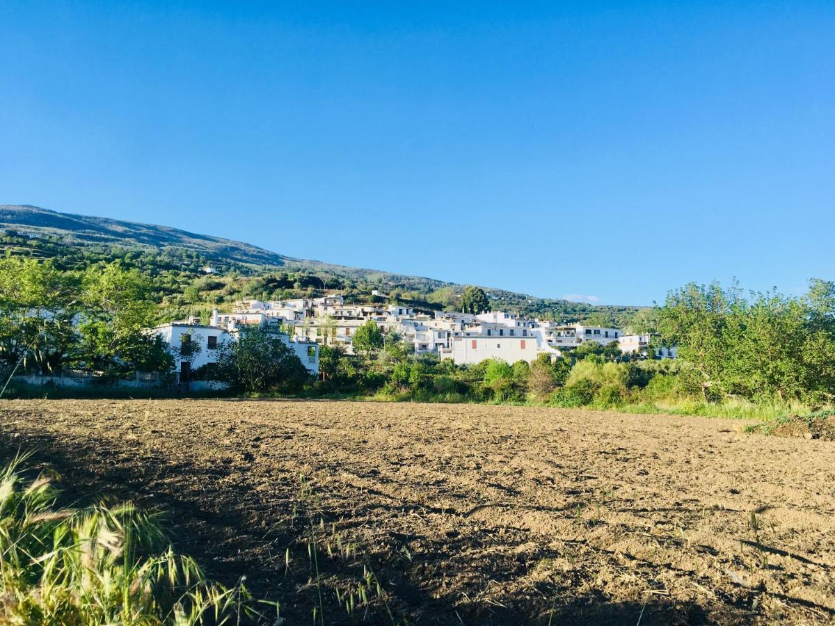 Apartamento El Refugio De Mecina Mecina Fondales Exteriér fotografie